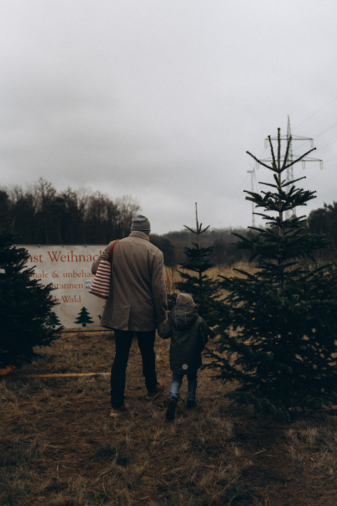 Vater und Sohn gehen durch Tannenwald bei Familien Outdoorshooting