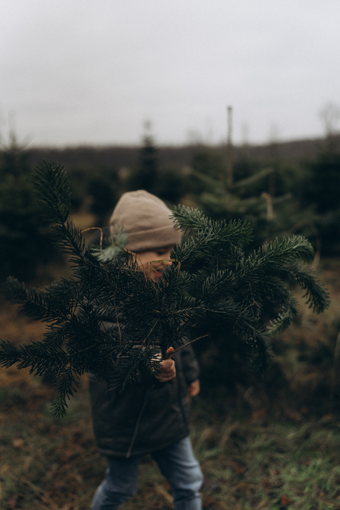 Junge mit Tannenzweig bei Familienshooting Outdoor