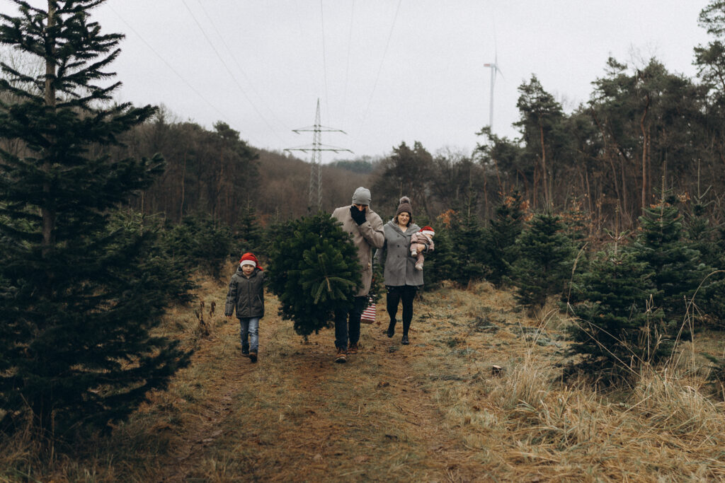 Familie hat Tannenbaum gefunden bei Familien Outdoorshooting