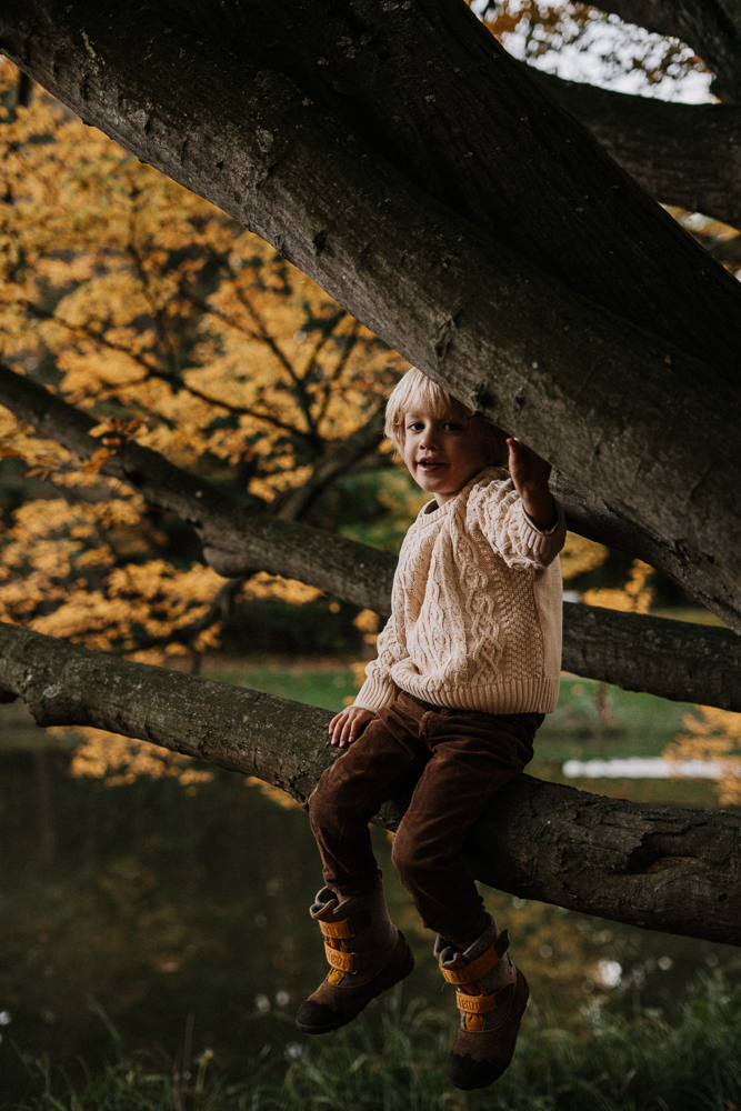 Junge sitzt auf Baum im Herbst bei Familien Outdoorshooting