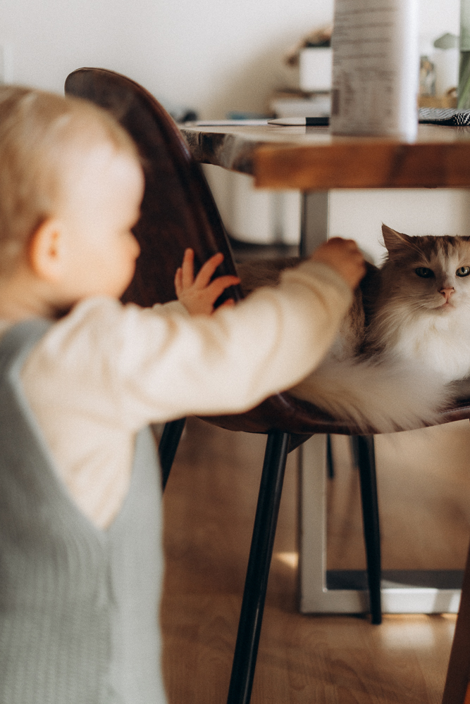 Kind streichelt Katze